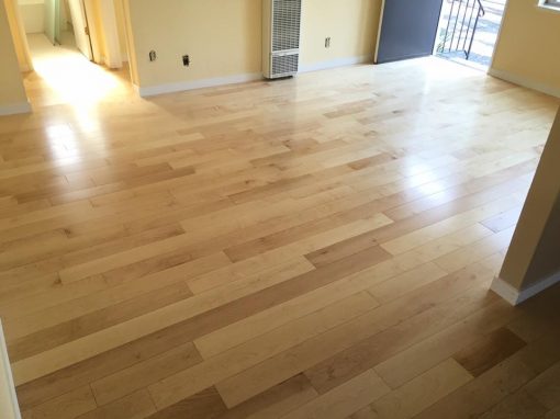 Pre-finished Engineered Natural Maple Installation